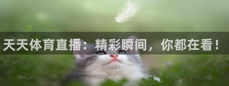 乐球直播官网入口：天天体育直播：精彩瞬间，你都在看！