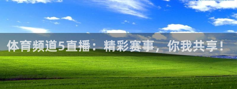 乐球直播nba直播：体育频道5直播：精彩赛事，你我共享！