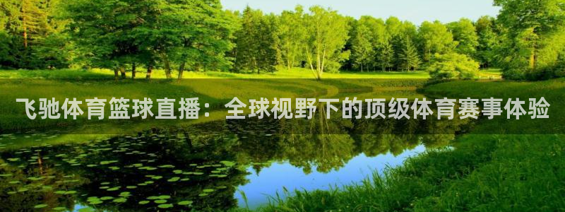 nba乐球吧jrs直播吧：飞驰体育篮球直播：全球视野下的顶级体育赛事体验