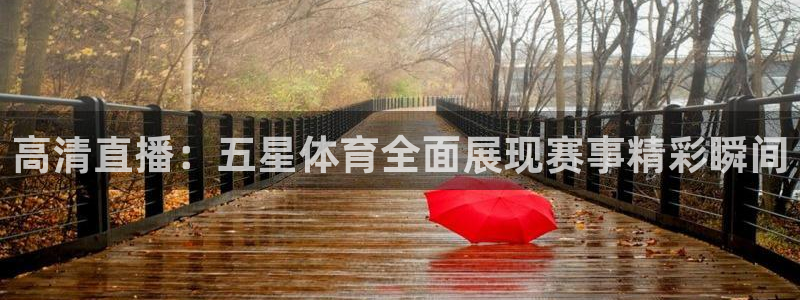 乐球直播app在线直播观看：高清直播：五星体育全面展现赛事精彩瞬间