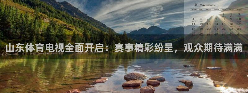 乐球直播高清在线直播：山东体育电视全面开启：赛事精彩纷呈，观众期待满满