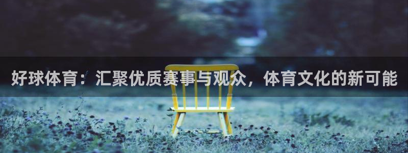 jrs乐球吧低调看直播nba：好球体育：汇聚优质赛事与观众，体育文化的新可能