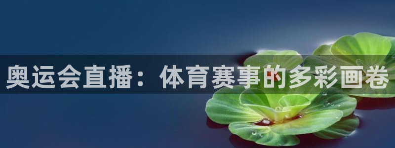 nba直播乐球直播在线观看视频：奥运会直播：体育赛事的多彩画卷