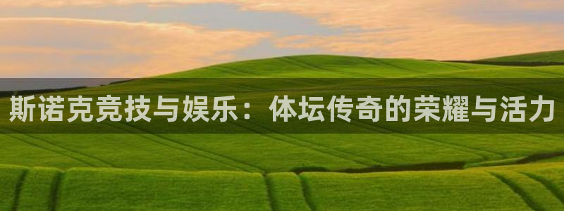 乐球吧直播吧nba：斯诺克竞技与娱乐：体坛传奇的荣耀与活力
