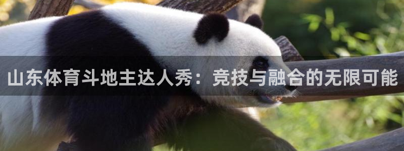 乐球直播网址乐球：山东体育斗地主达人秀：竞技与融合的无限可能