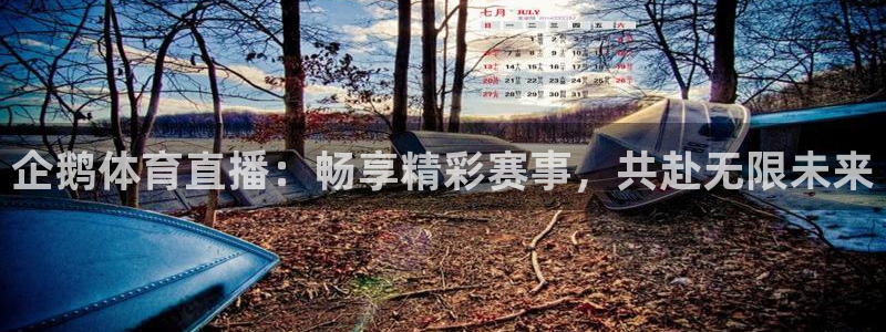 乐球直播在线免费观看：企鹅体育直播：畅享精彩赛事，共赴无限未来