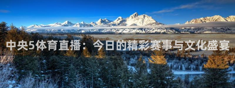 乐球直播免费观看入口：中央5体育直播：今日的精彩赛事与文化盛宴